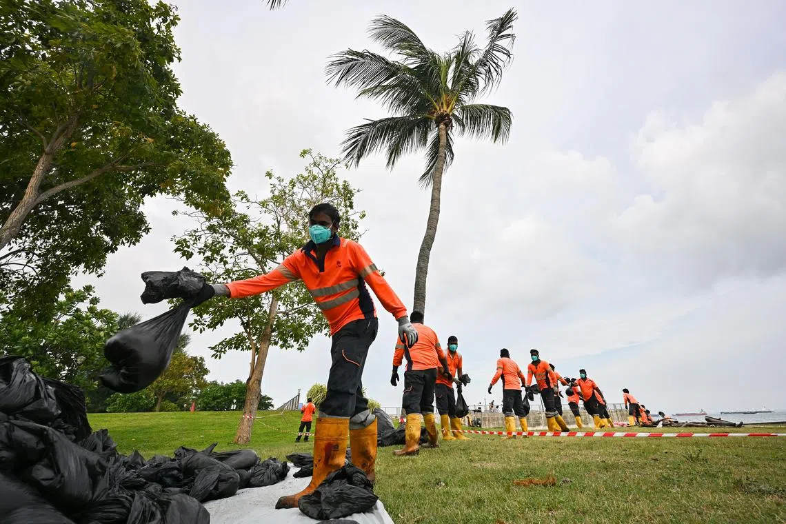 ST20240619-202441031295-Lim Yaohui-Carmen Sin-csoil23/
Workers forming a human chain to transfer bags of oil-stained sand after cleaning the beach near Siglap Canal at East Coast Park at 5.32pm on June 19, 2024.
Colour piece on volunteers, workers and beach lovers' response to the oil spill event. what they are doing etc. to bring across the deep feeling towards marine life and spaces in Singapore. Oil spill occurred after one vessel allided with another at the Pasir Panjang Terminal on June 14.
The incident involved the Netherlands-flagged dredging boat Vox Maxima and the Singapore-flagged bunker vessel Marine Honour, which was stationary, the Maritime and Port Authority of Singapore (MPA) said in a statement.
(ST PHOTO: LIM YAOHUI)