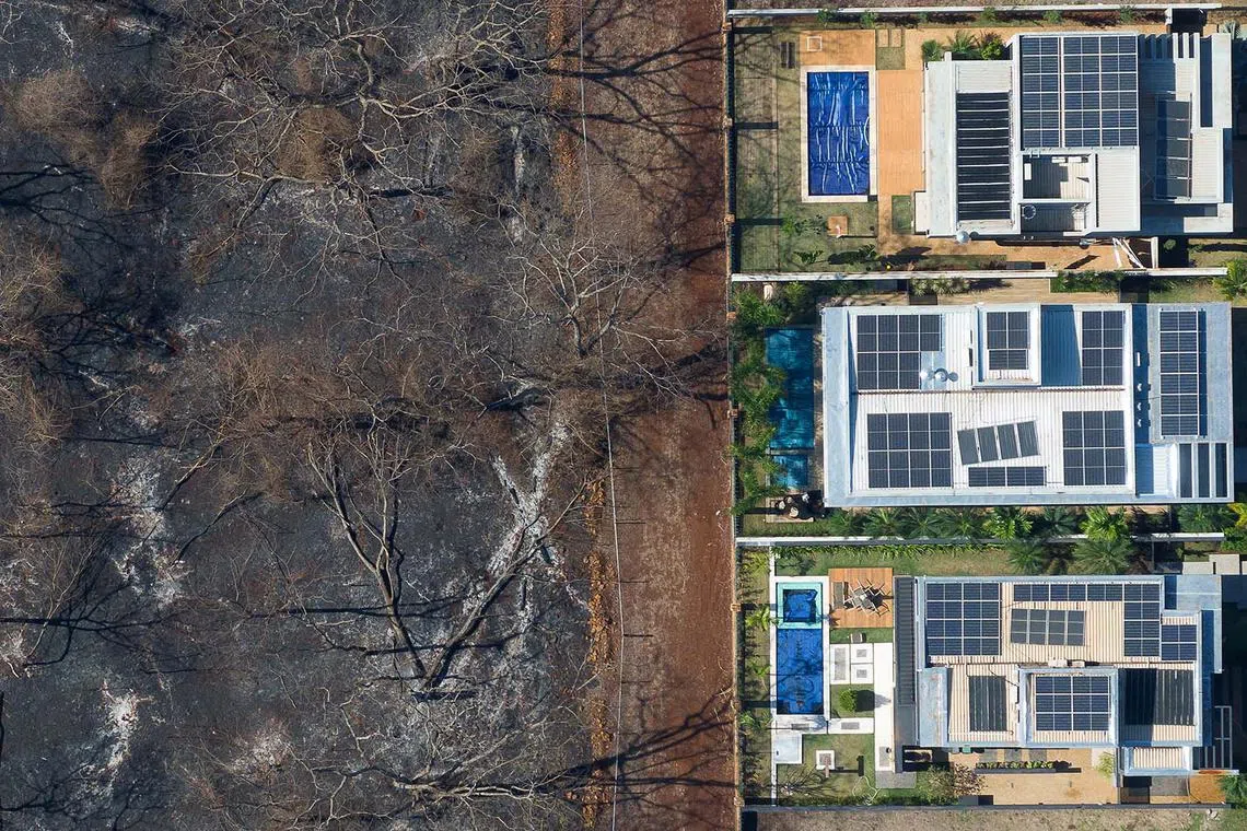 A drone view showing burnt vegetation next to a luxury condominium after a series of fires in plantations in Ribeirao Preto, Sao Paulo state, Brazil, Aug 26, 2024. 