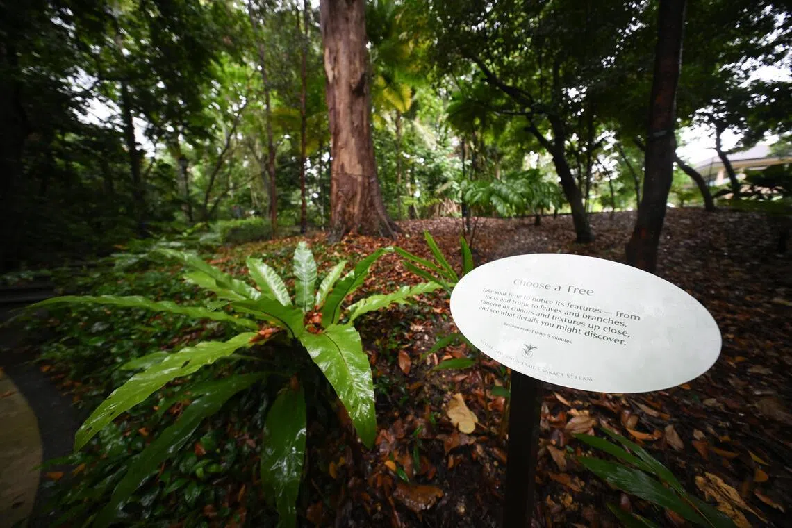 Visitors can move at their own pace and refer to the prompts on the signs to decide what they want to do.