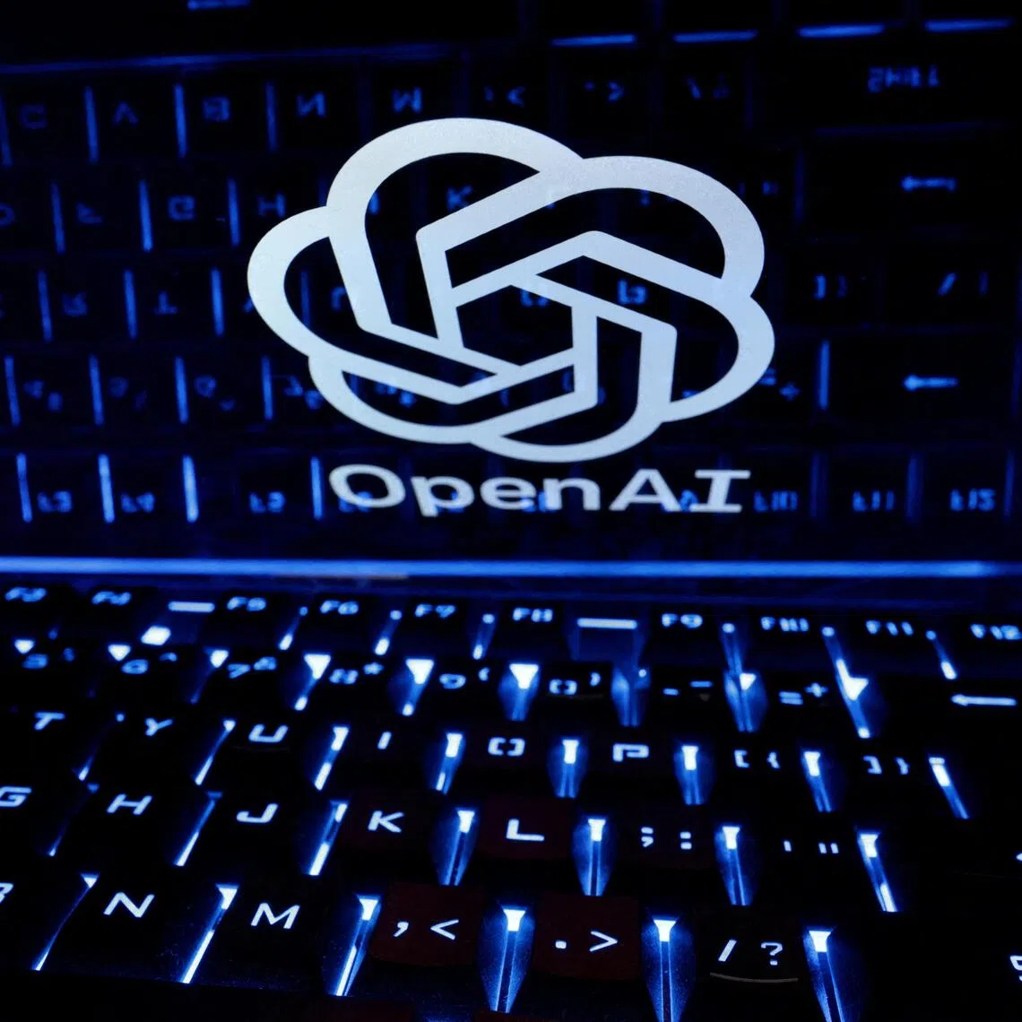OpenAI did not directly address questions about how many different sites its agents used to communicate or say why it kept the activity under wraps for months. 
