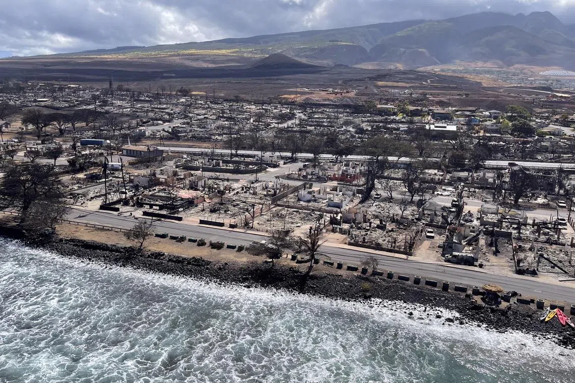 The causes of the Hawaii wildfires, which started on Tuesday night, have not yet been determined.