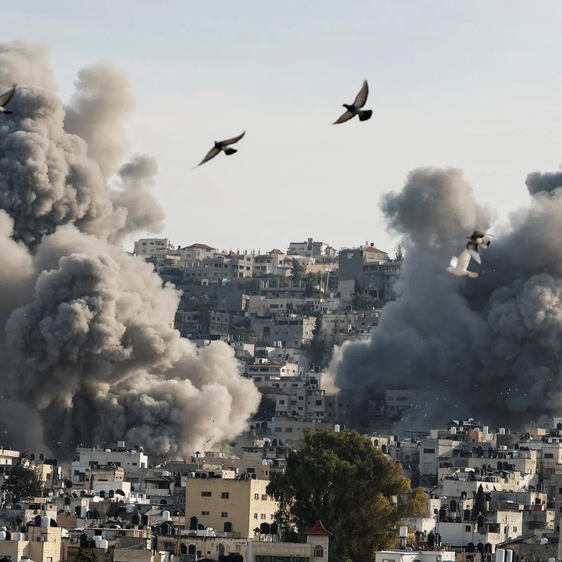Birds fly as smoke rises during an Israeli army operation in Jenin, in the Israeli-occupied West Bank, February 2, 2025. REUTERS/Raneen Sawafta/File Photo
