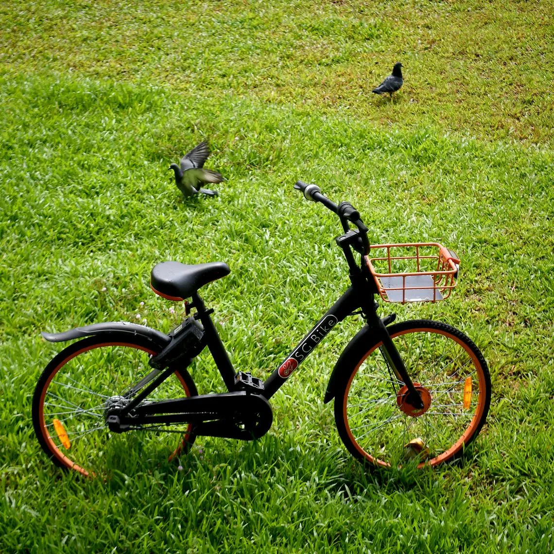 SG Bike users will see their existing wallet balance reflected on the Anywheel app by May 3 or earlier.