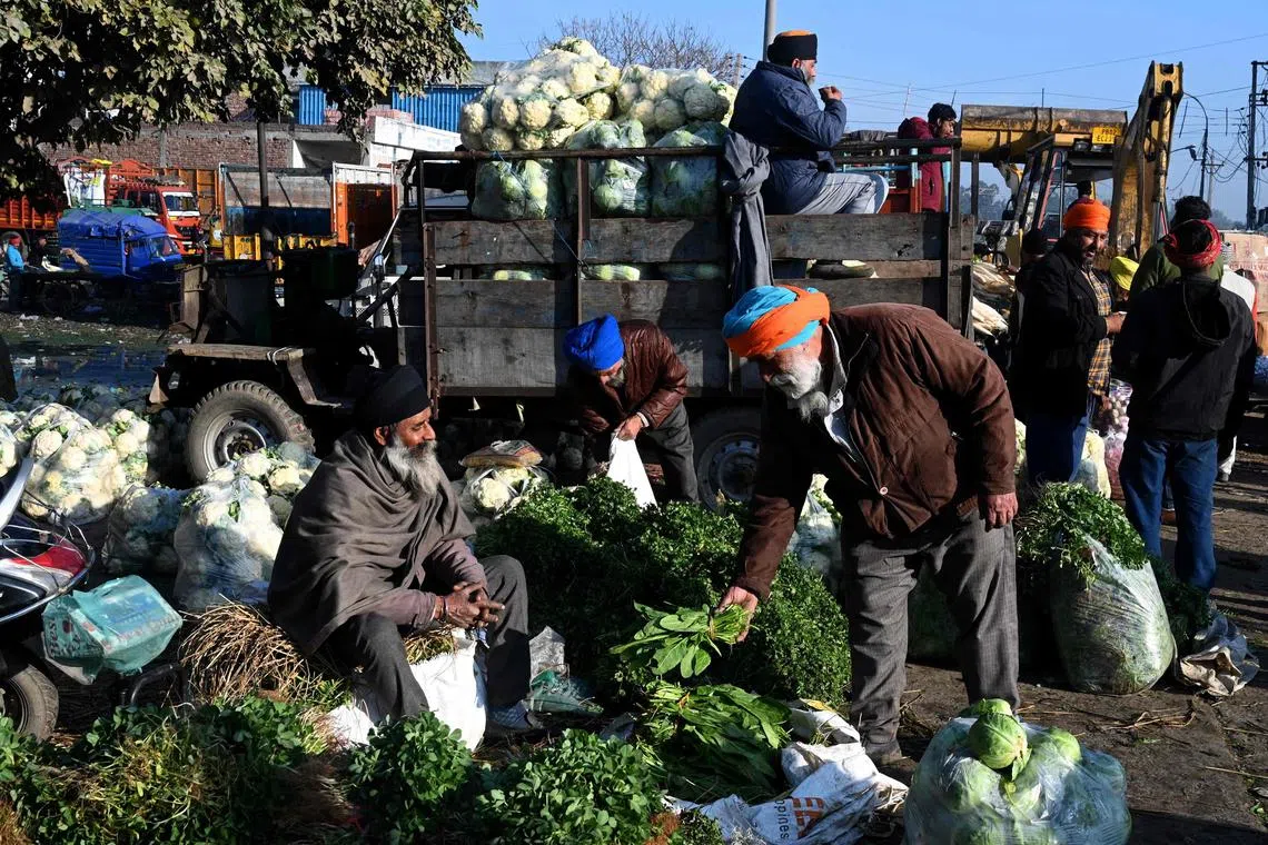 People buy vegetables at a wholesale vegetable market on the outskirts of Amritsar, India on Feb 1, 2023.