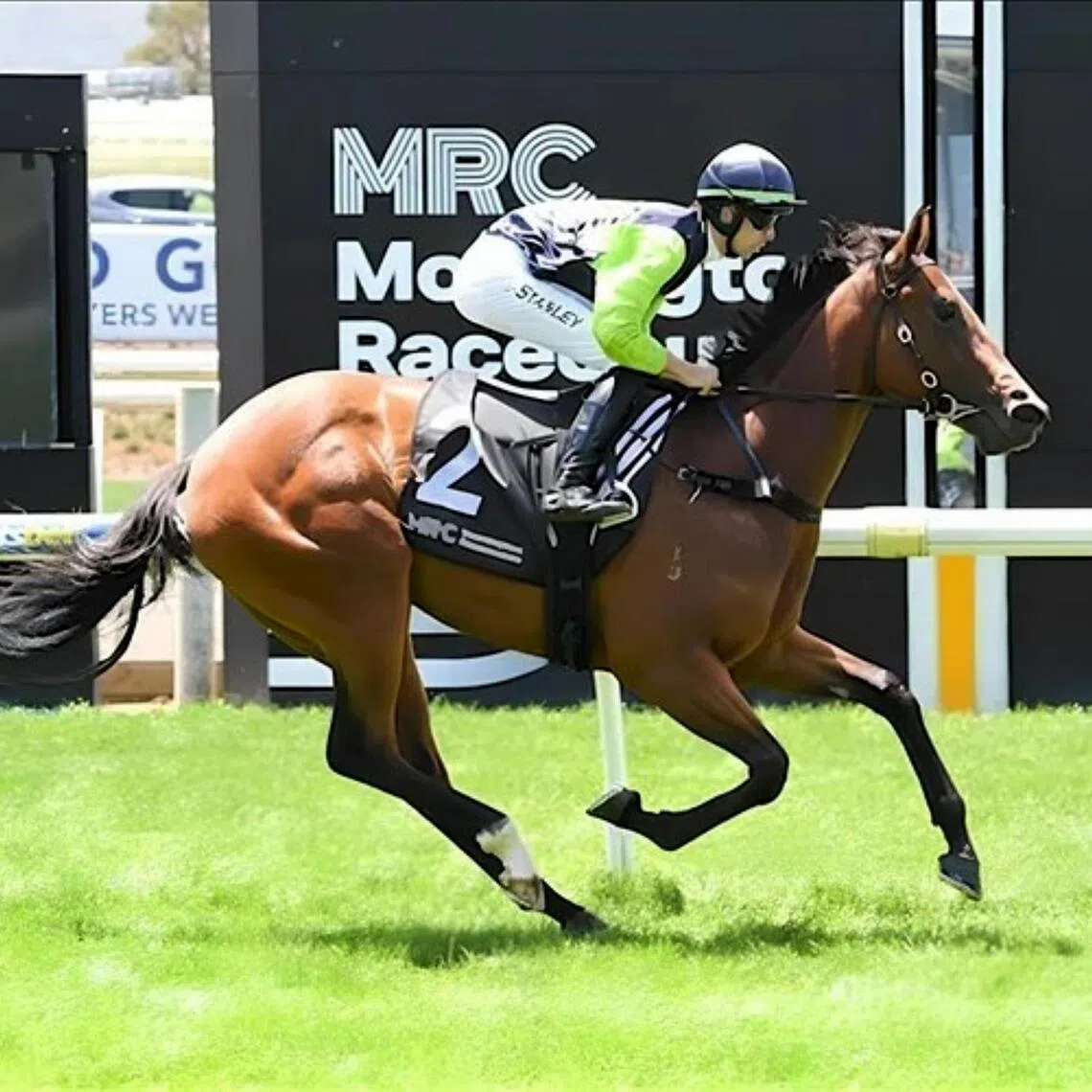 The John McArdle-trained and homebred Divine Dot (Jett Stanley) recording an easy win on debut in a 2YO Maiden (1,200m) at Mornington on Dec 23.
