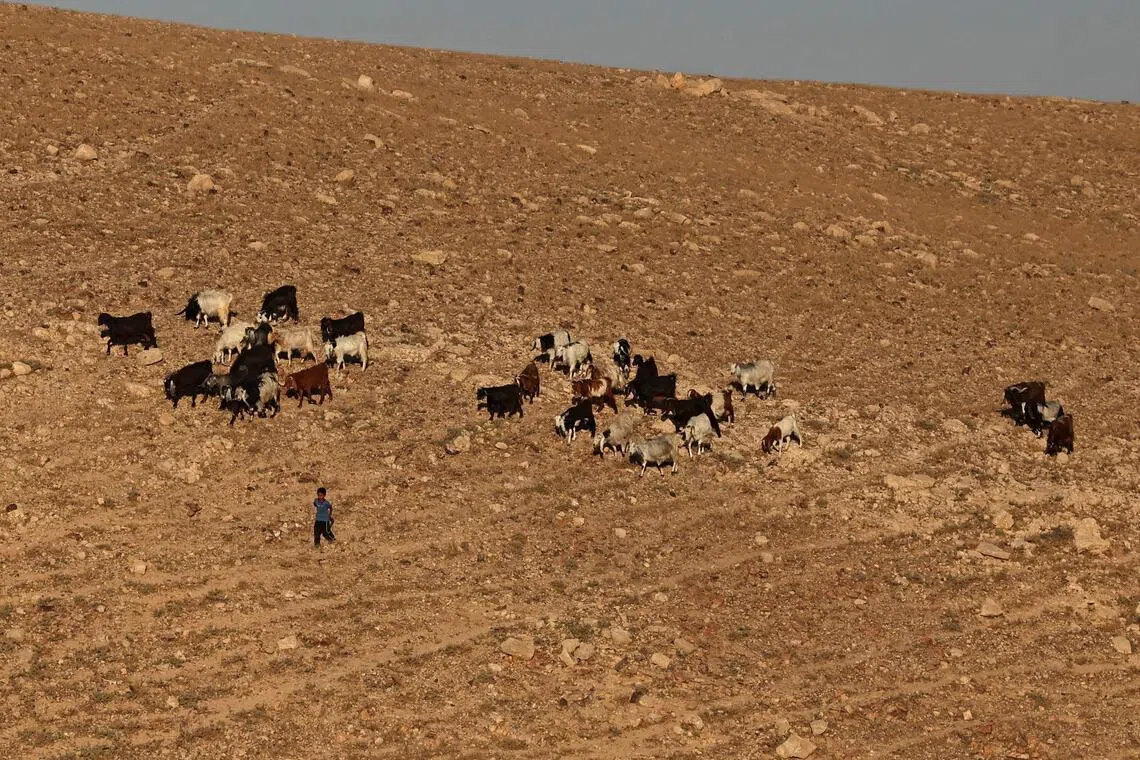 Amnesty accuses Israel of ‘ethnic cleansing’ of West Bank Be