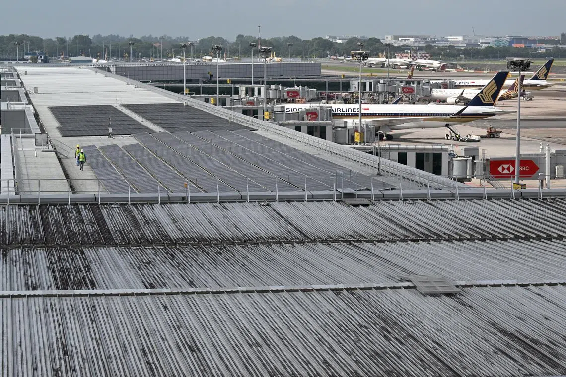 EMBARGO: 1700hrs,  February 14, 2024

A vantage point photo of solar panels installation in progress on the roof of Changi Airport Terminal 3  on February 14, 2024. 

******


Changi Airport will be home to Singapore’s largest array of rooftop solar panels in a single site. 
When completed in early 2025, the solar photovoltaic (PV) system will have a generation capacity of 38 Mega-Watt peak (MWp). This project will reduce Changi Airport Group (CAG)’s carbon emissions by approximately 20,000 tonnes each year, or about 10% of CAG’s consumption in 2019.