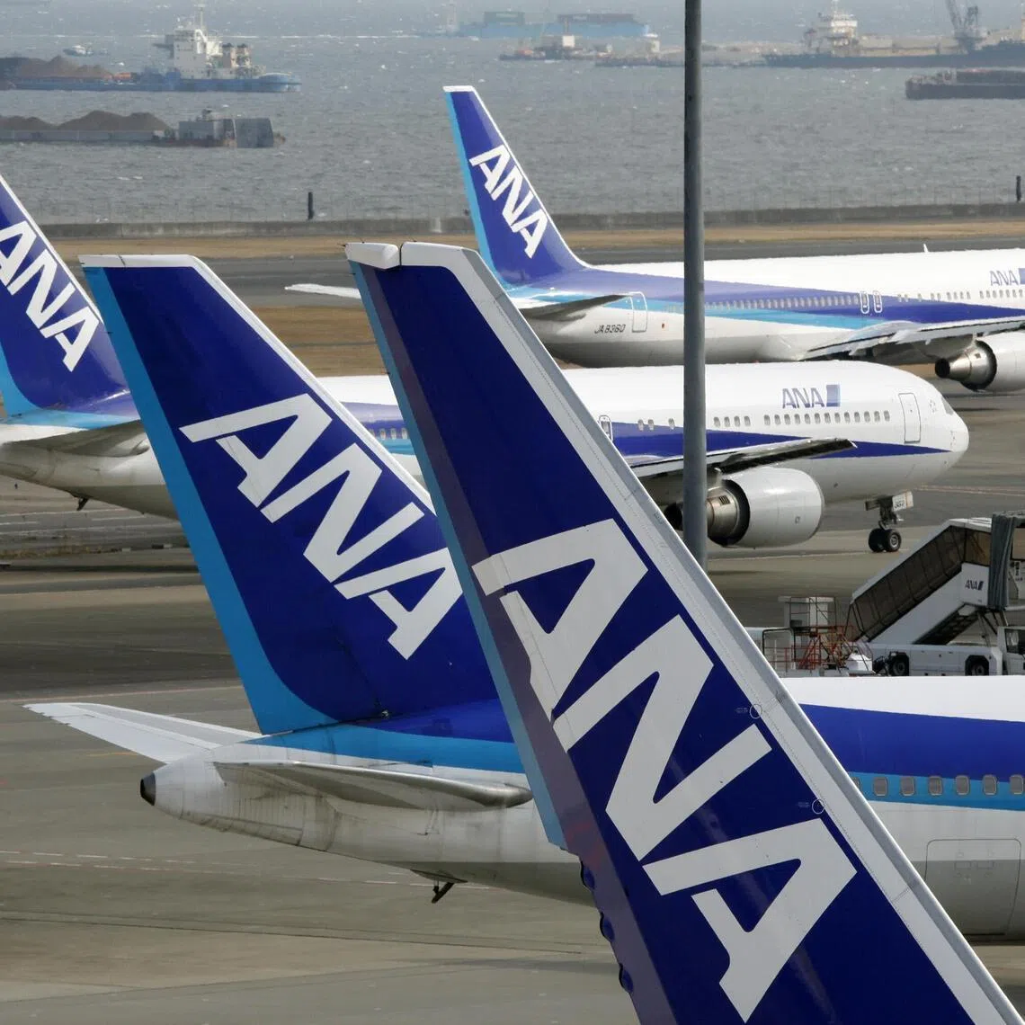 All Nippon Airways had removed the pilot from all flight duties since the case was reported in March.
