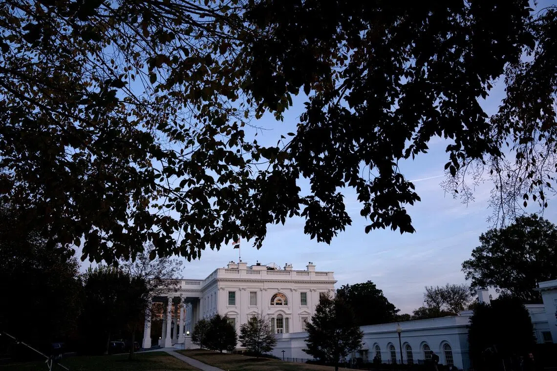 The White House viewed through tree branches at dusk