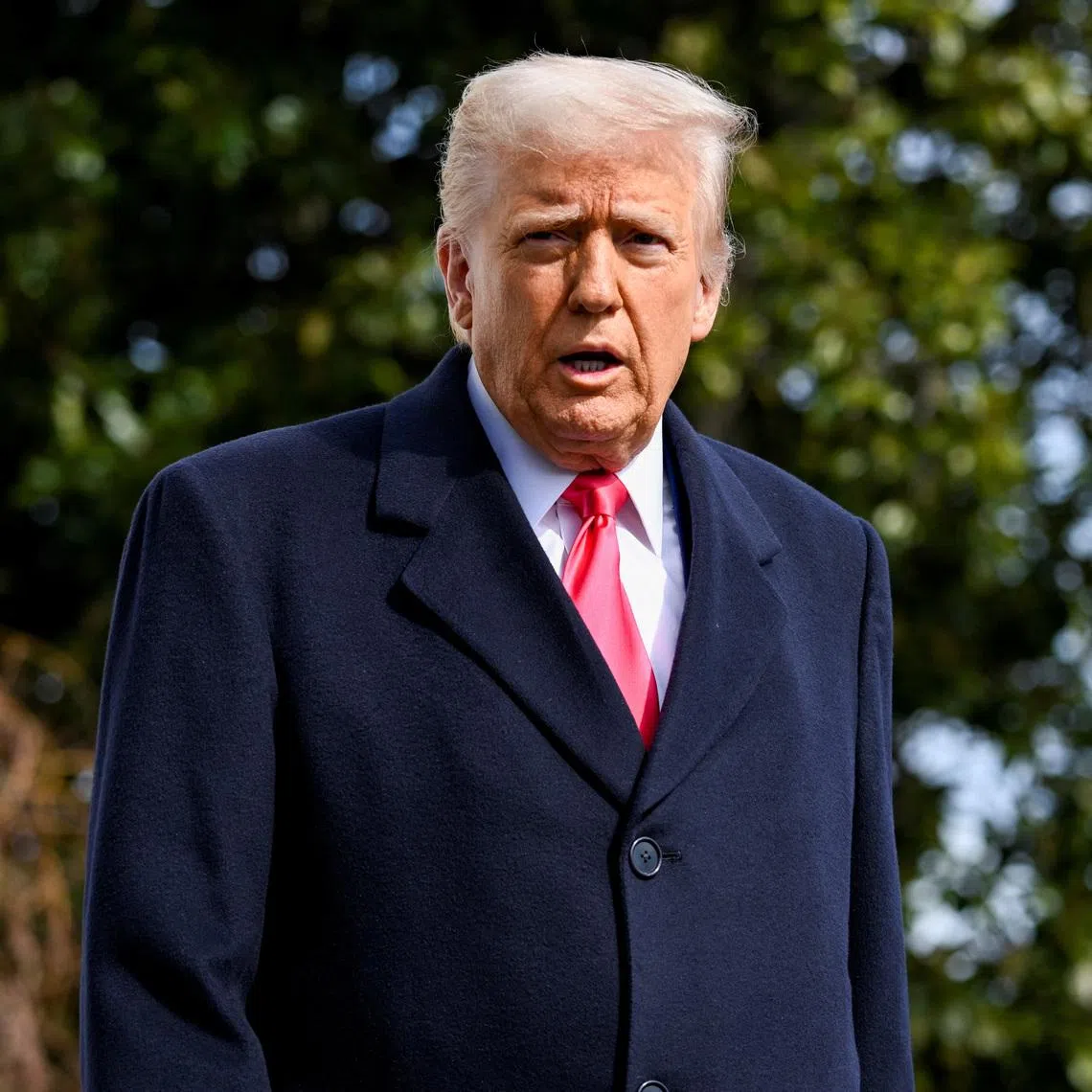 U.S. President Donald Trump seen on the South Lawn of the White House in Washington, D.C., U.S., February 22, 2025. REUTERS/Craig Hudson