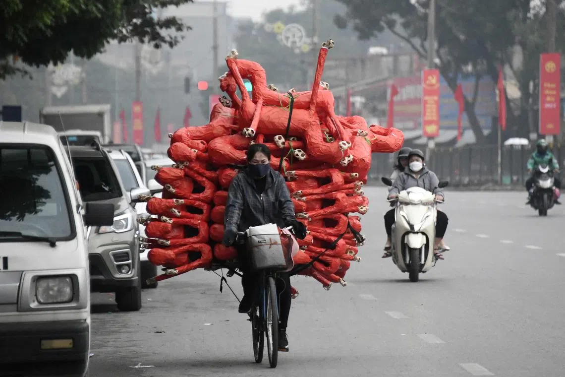 A woman carries horse figurines, to be used as offerings at religious ceremonies, on her bicycle as she transports them to shops for sale in Hanoi on January 11, 2023. 