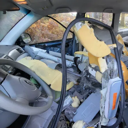A black bear tore into the interior of a car in Juneau, Alaska, after it got itself locked inside.