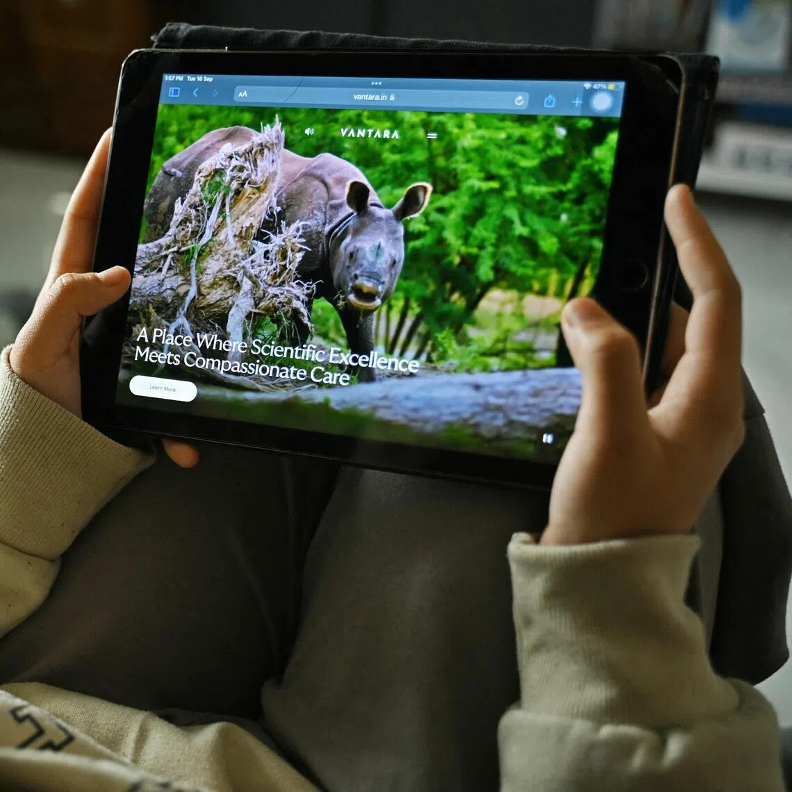 Vantara is a 1,416ha zoo in Gujarat run by the philanthropic arm of the Reliance conglomerate led by Mr Mukesh Ambani and his family.