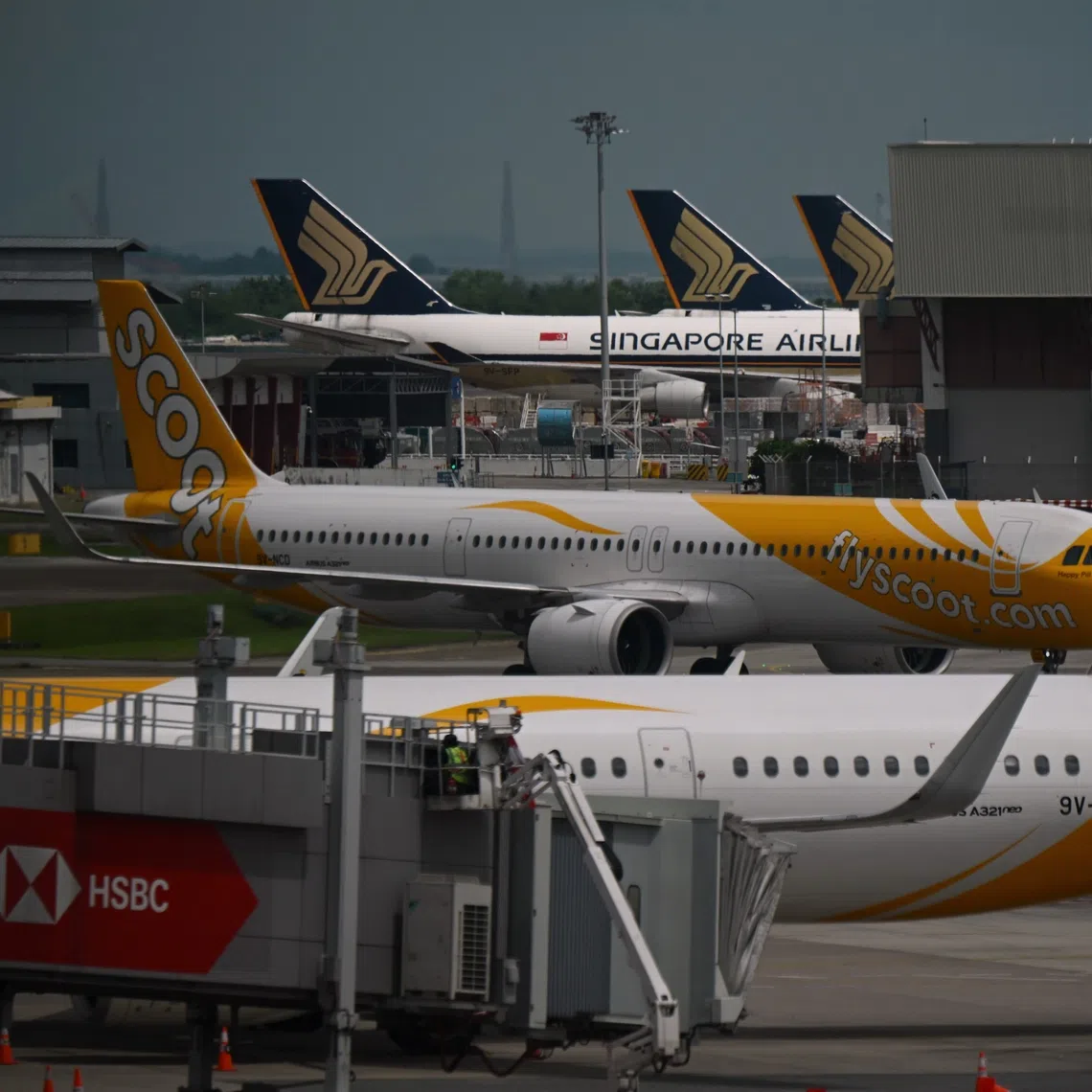 The discounted SIA tickets will be available for travel from Jan 1, 2027 to Sept 30, 2027, while discounted Scoot tickets will be available for travel from Nov 9 to Oct 15, 2027.
