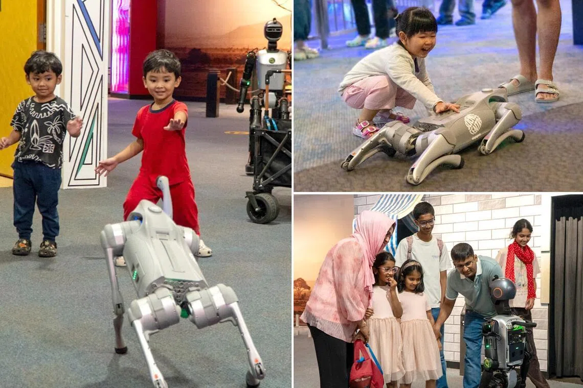 Science Centre Singapore's first robotics and artificial intelligence festival, Robofest, will run from April 9 to 12.