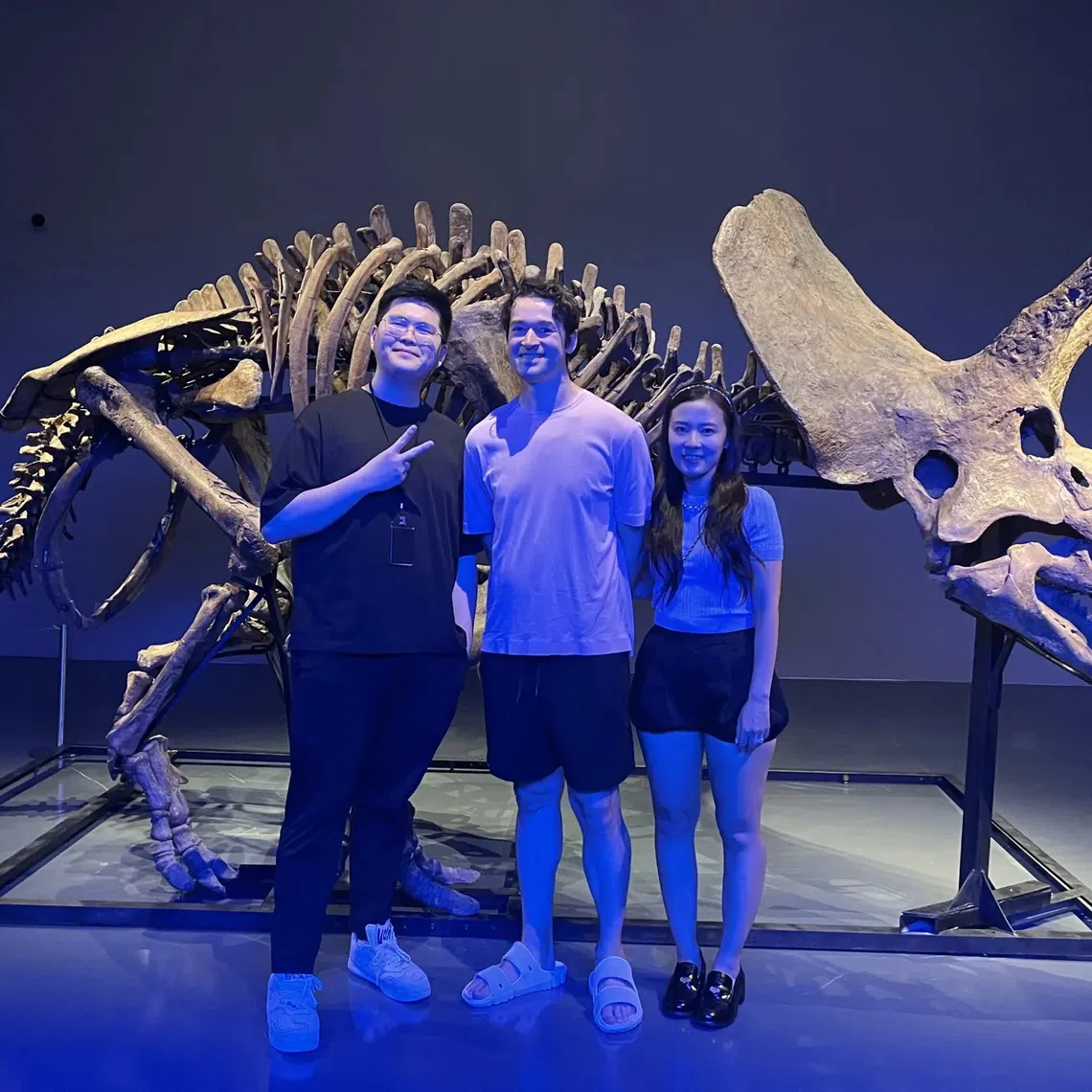 (From left) Singaporean Chaw Wei Yang, Mr Yoann Turpin and his wife Alice Jeon posing with the 69-million-year-old triceratops skeleton at Freeport in Singapore.