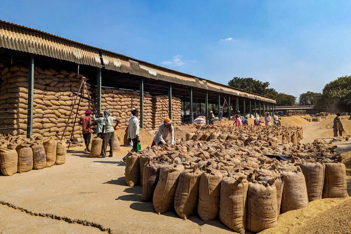 Lower prices and ample stockpiles have helped make India one of the top shippers globally over the past decade,