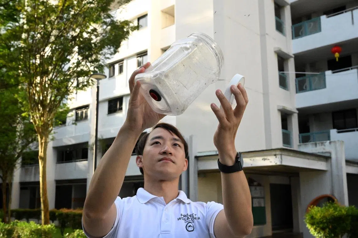 A staff member releasing male Wolbachia-Aedes mosquitoes as part of NEA's Project Wolbachia Singapore near Blk 305 Clementi Ave 4 on Feb 20.