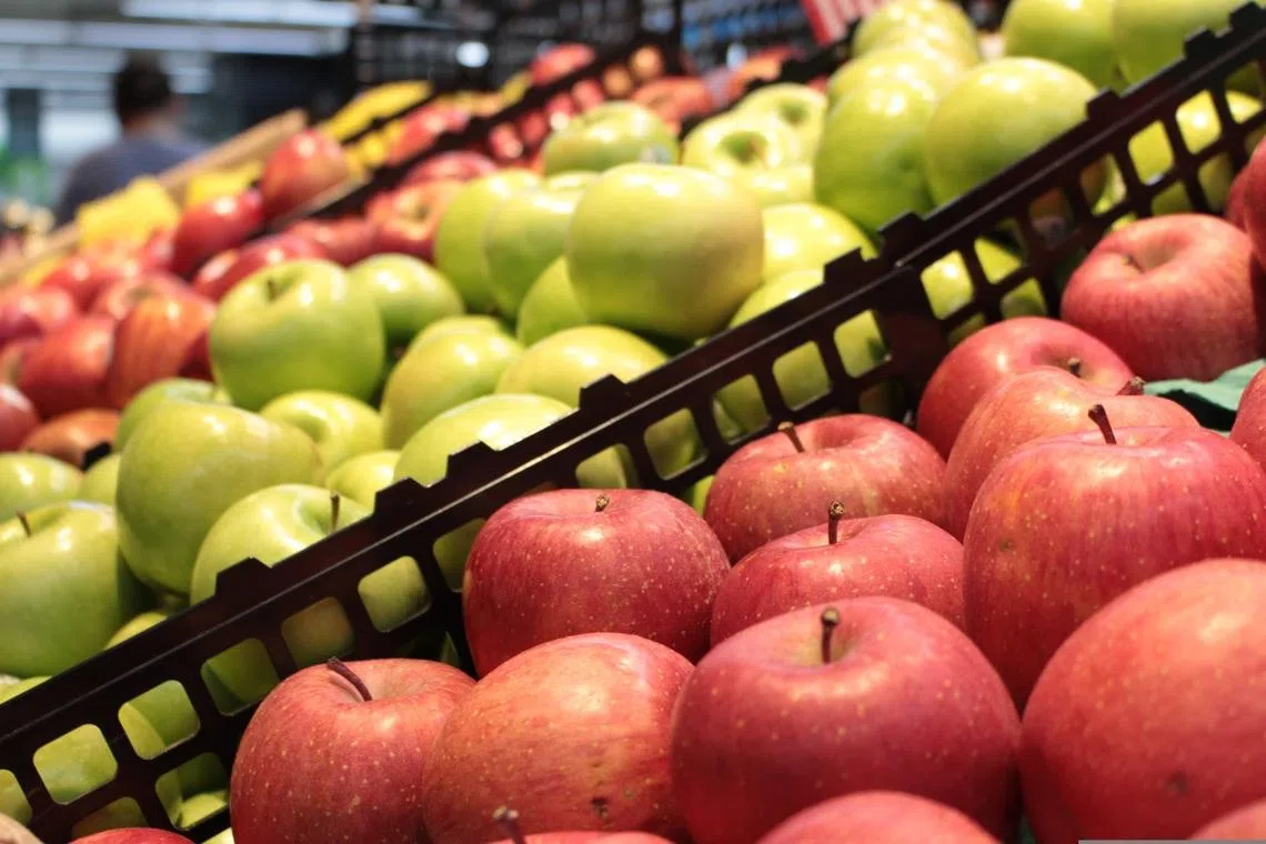 Seoul to roll out agricultural product subsidy for pregnant women, including foreigners