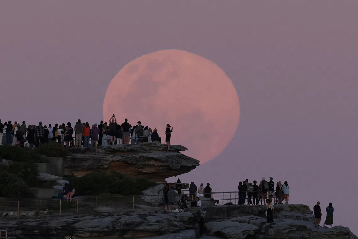 A Beaver Moon supermoon rises over North Bondi in Sydney, Australia, November 05, 2025. REUTERS/Hollie Adams