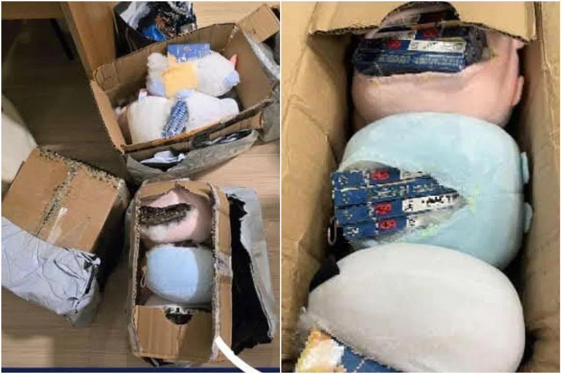 Singapore Customs officers uncovered seven parcels with cigarettes hidden in plush toys declared as “decorations”.