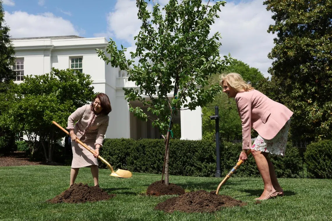 (L-R) Mrs Yuko Kishida, wife of Japanese Prime Minister Fumio Kishida, and United States First Lady Jill Biden, wife of President Joe Biden, plant a cherry blossom tree on the South Lawn at the White House.