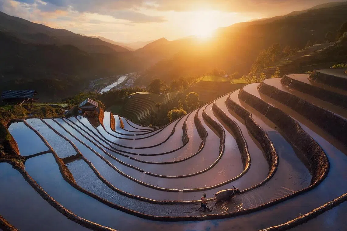 An emerging spot in Vietnam is a rural district called Mu Cang Chai located about 300km north-west of Hanoi and about 1,000m above sea level.