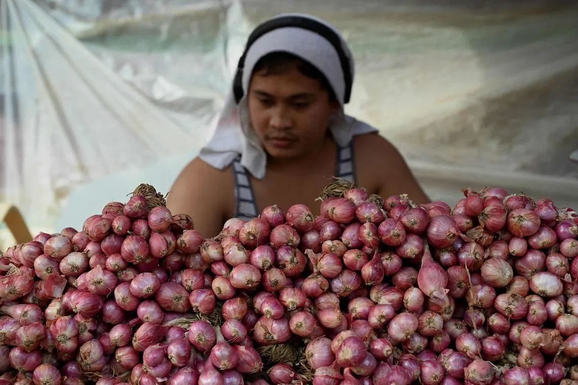 A vendor sells onions at a market in Manila. The government plans to import several tons of onions to tame rising prices. 