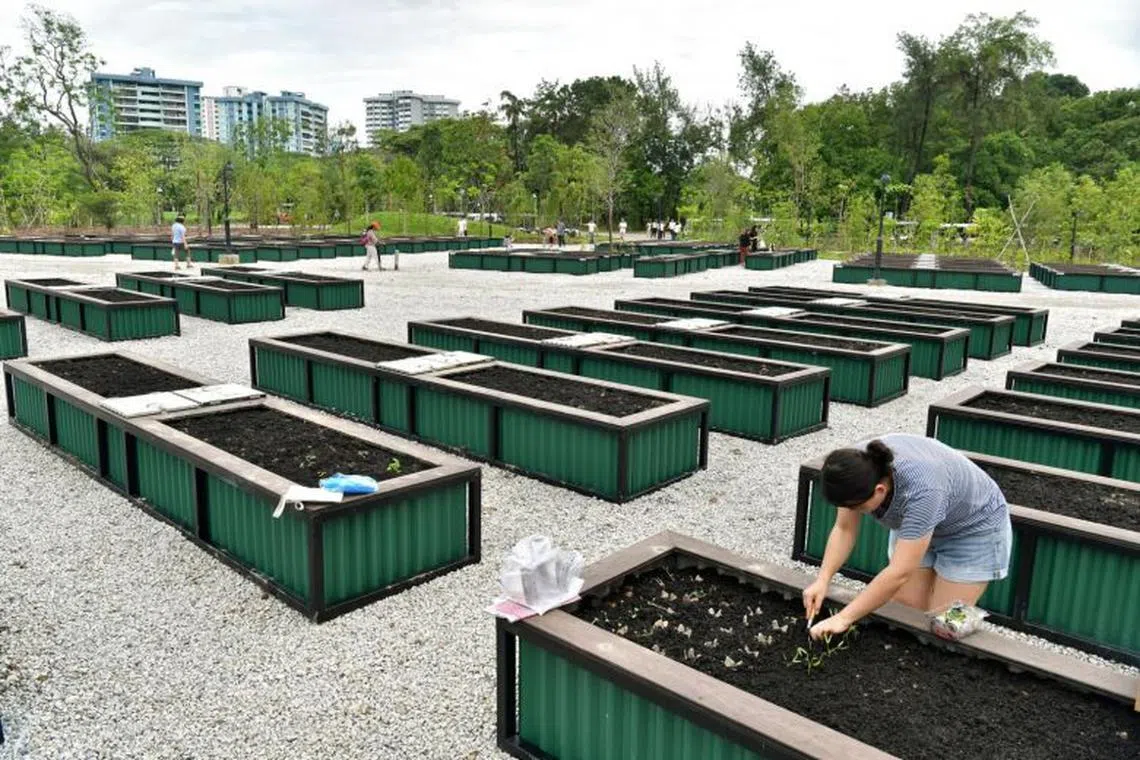 Some 800 other plots, located in 27 sites across the heartlands, are managed by resident committees and resident networks. 