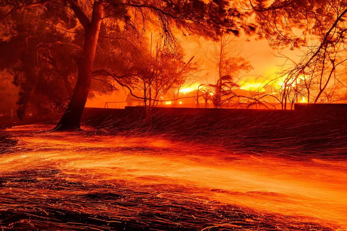 Embers whipping across the ground as homes burn during the Eaton wildfire in Los Angeles county on Jan 7, 2025. 