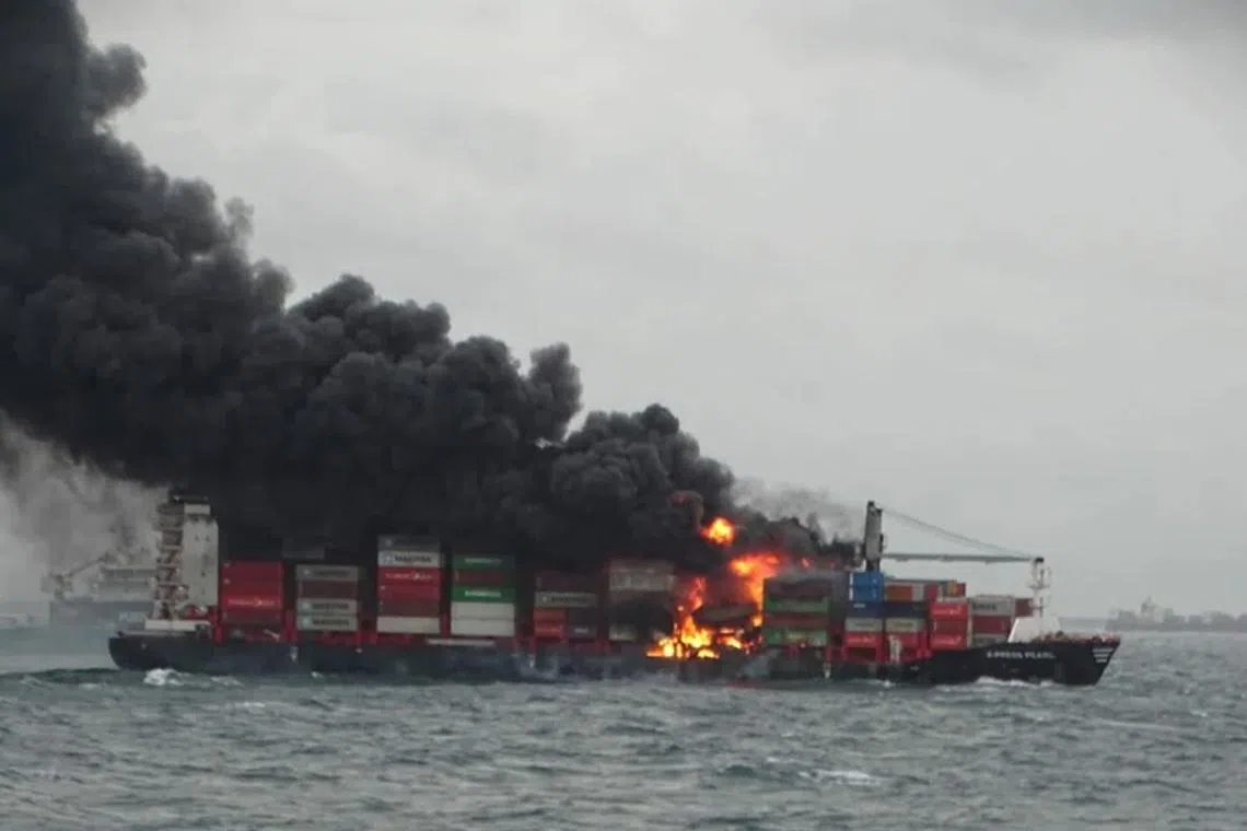 The MV X-Press Pearl, which caught fire in 2021, before sinking, had caused Sri Lanka's worst case of environmental pollution.