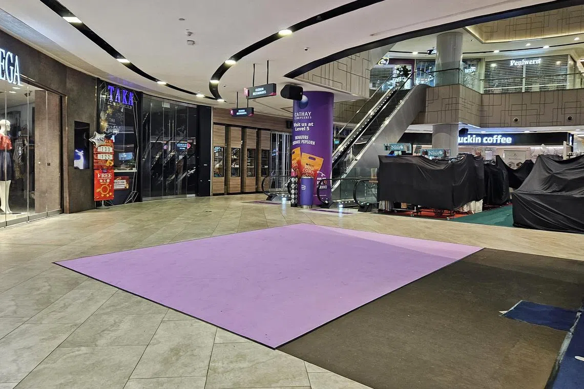 The mall said that as a precautionary measure, they have removed the installation while investigations are ongoing. 