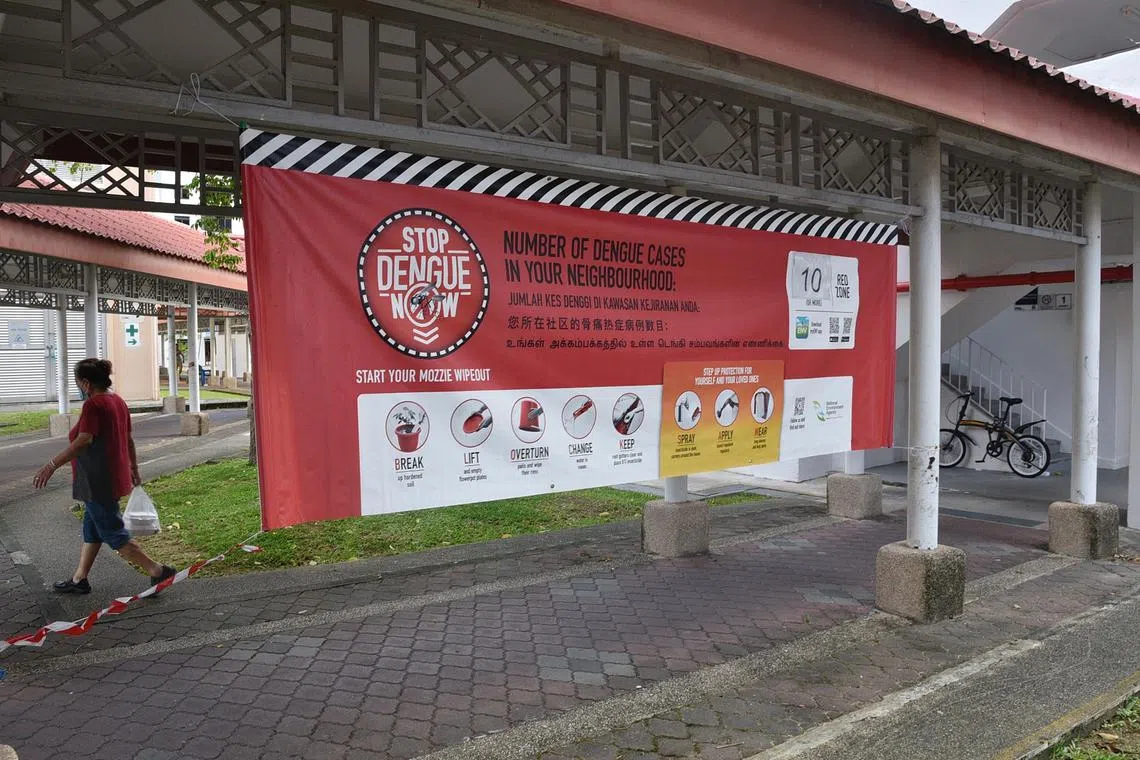 The drop in cases comes in spite of the high number of dengue cases at the start of the year.