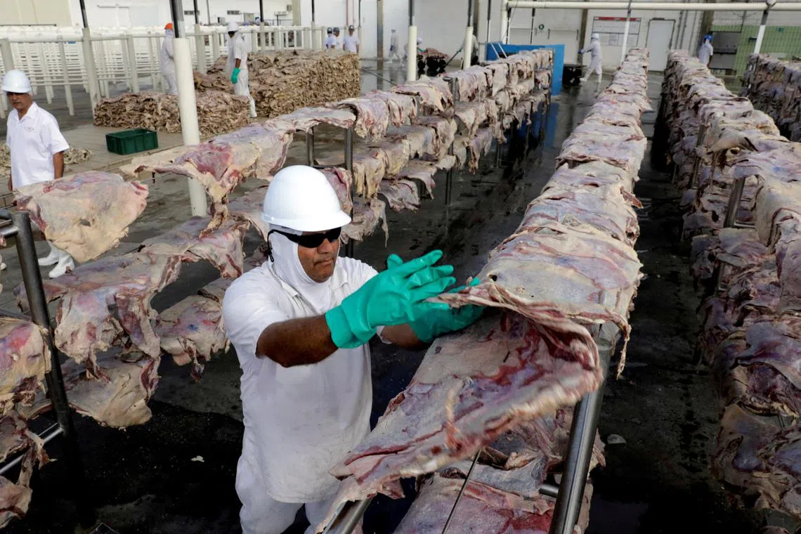 A file photo of a worker at a plant of JBS S.A, the world's largest beef producer, in Santana de Parnaiba, Brazil. 