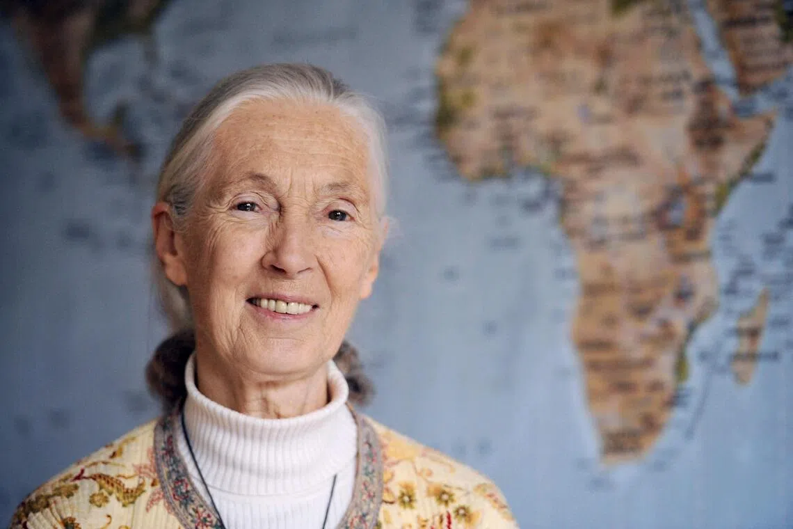 Dr Goodall closed the interview with a message of hope – and a warning to those who would harm “Mother Nature.”