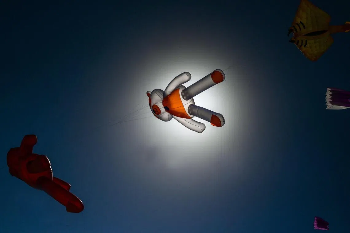 TOPSHOT - Kites fly during the Festival du Vent (Wind Festival) in Portiragnes-Plage, southern France on September 6, 2026. (Photo by Gabriel BOUYS / AFP)