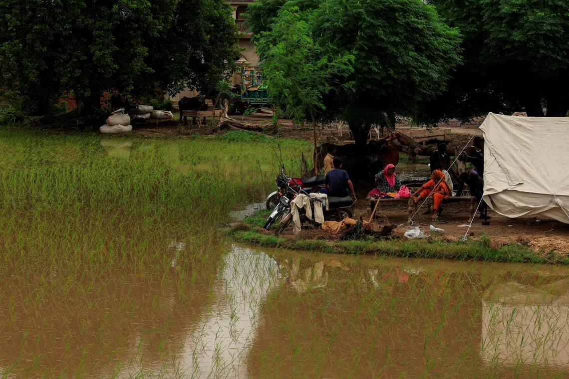 Residents sit outside a makeshift tent beside flooded field, following monsoon rains and rising water levels of the Chenab River, in Patraki village, Chiniot district, Punjab province, Pakistan, August 30, 2025. REUTERS/Akhtar Soomro