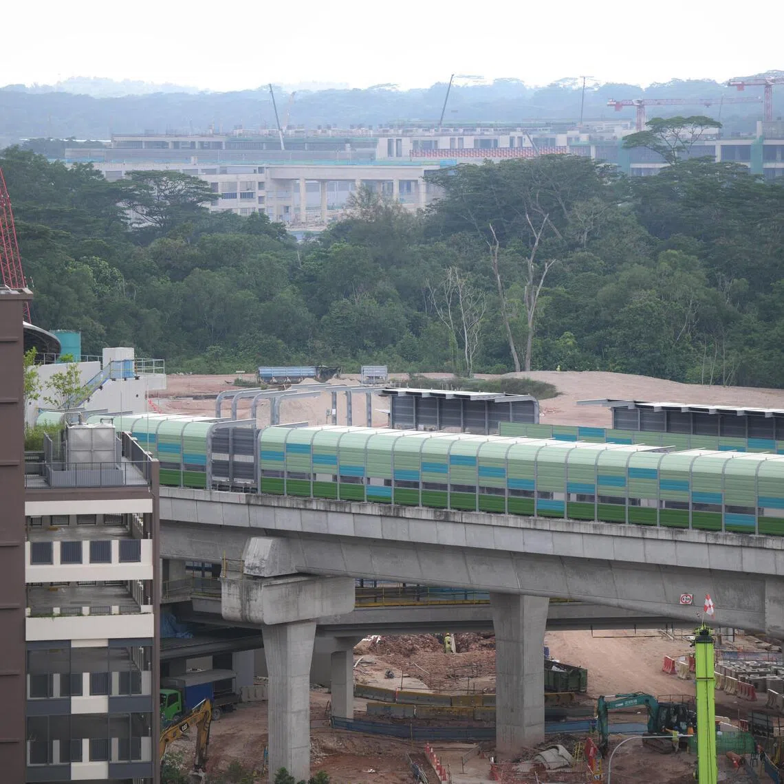 The creation of a new campus for UWC South East Asia (UWCSEA) is expected to cause adverse impacts on biodiversity in Tengah, even with a plan to blunt ecological damage.