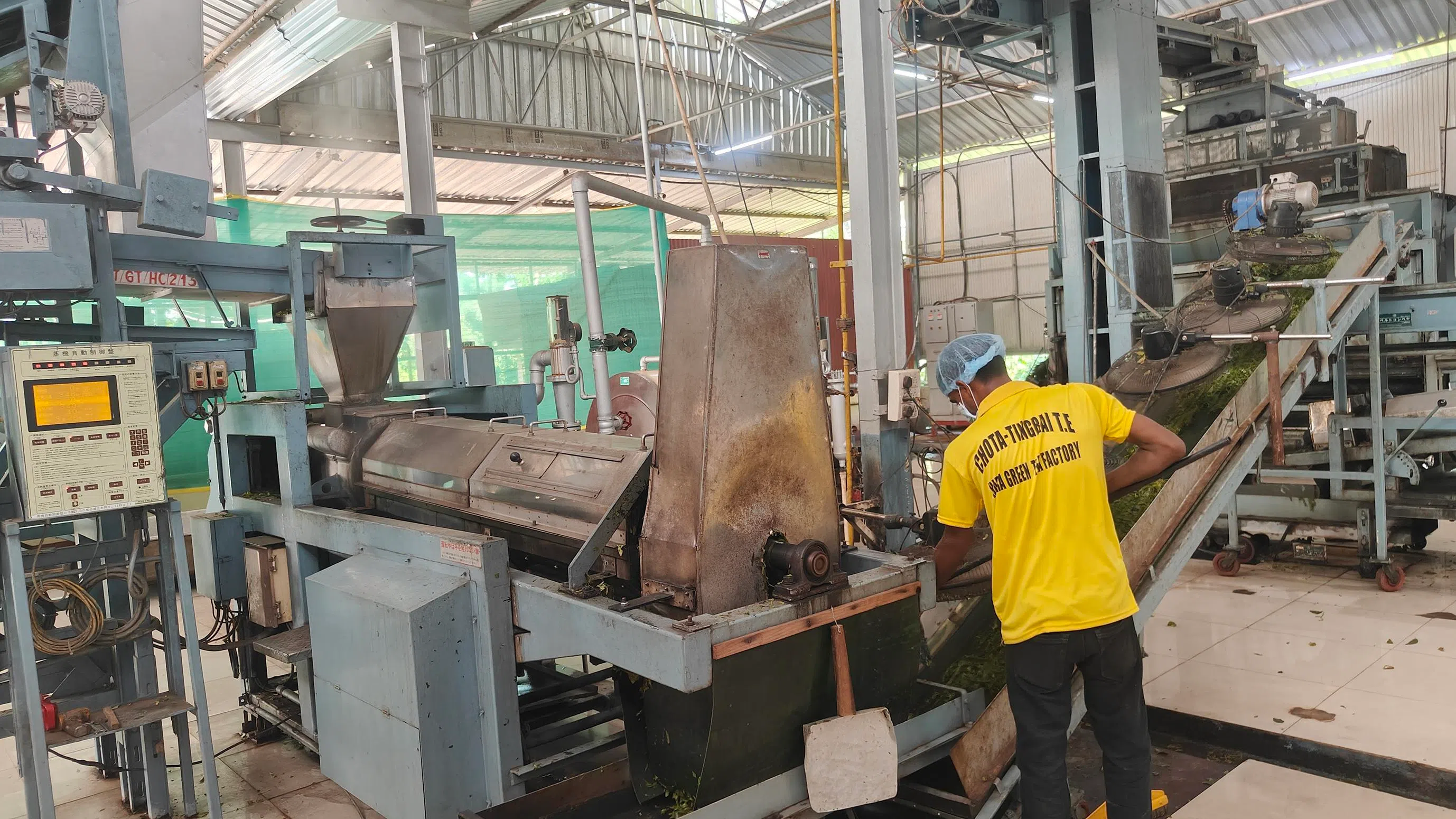 Chota Tingrai’s green tea and matcha-making factory. Workers here have been trained to work on Japanese machinery.