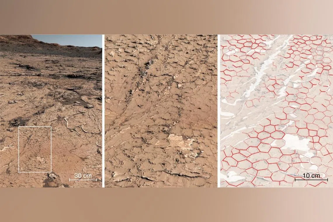Hexagonal fossil patterns in sedimentary rocks analysed by Nasa's Curiosity rover on the 3,154th day of its progress in Gale crater on Mars.