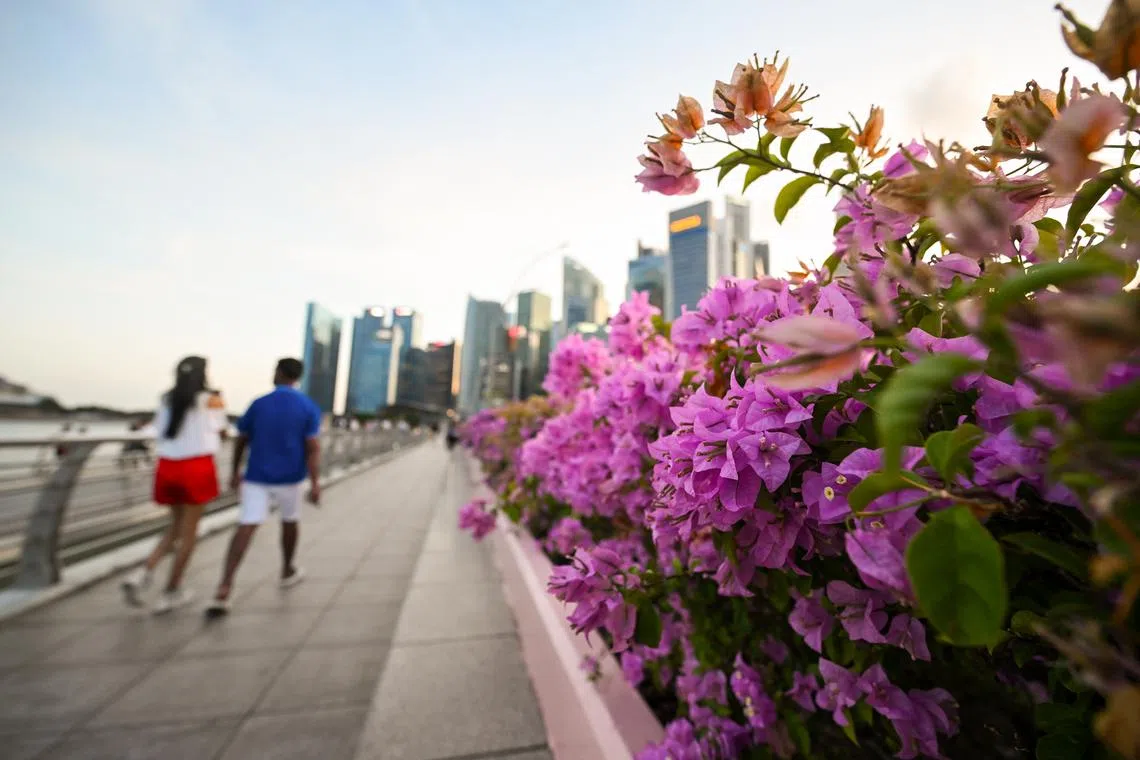 Climate disclosures are documents that organisations publish to outline the carbon footprint of their activities.