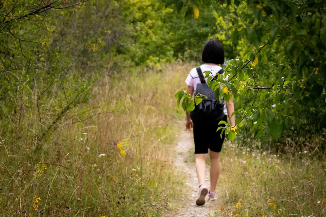 Without having to think about schoolwork and other obligations, kids get to do whatever they enjoy or feel like doing in the moment.  