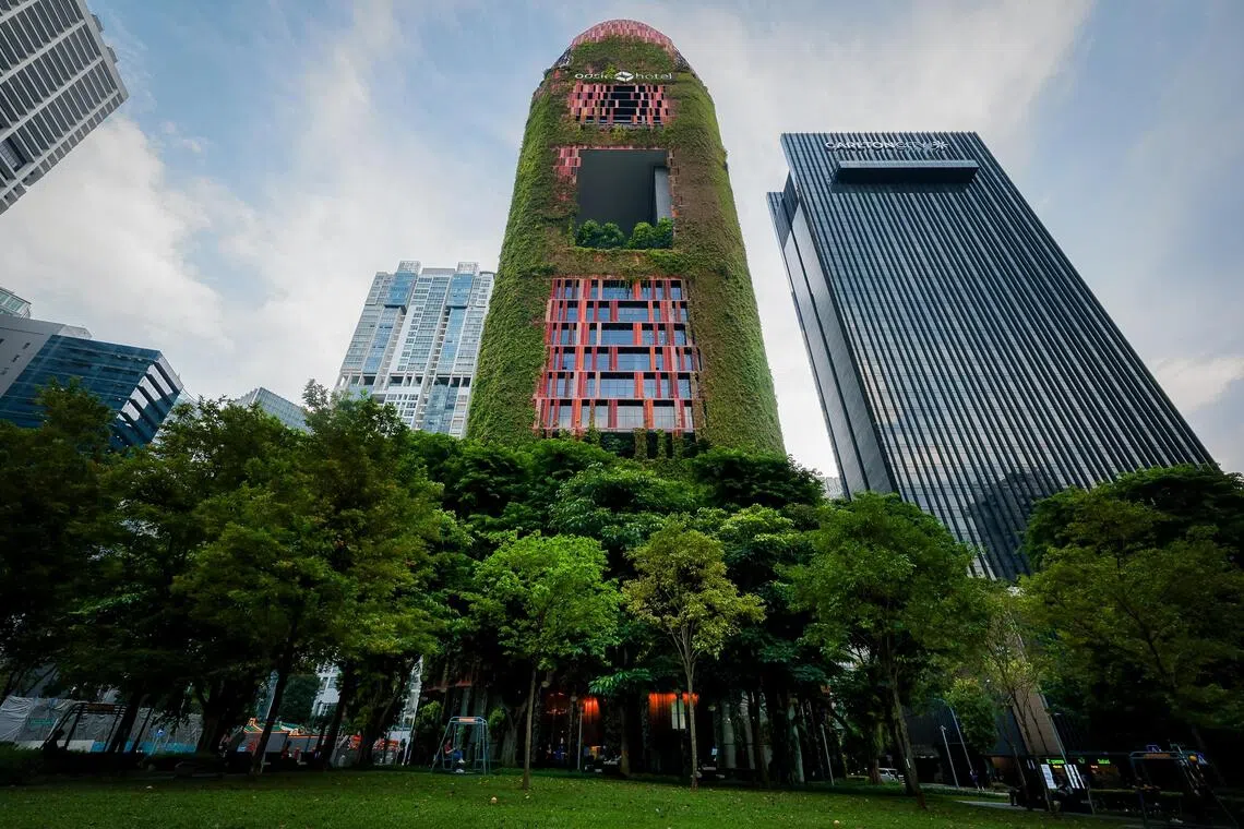 Oasia Hotel Downtown is a tropical oasis within Singapore’s Central Business District.