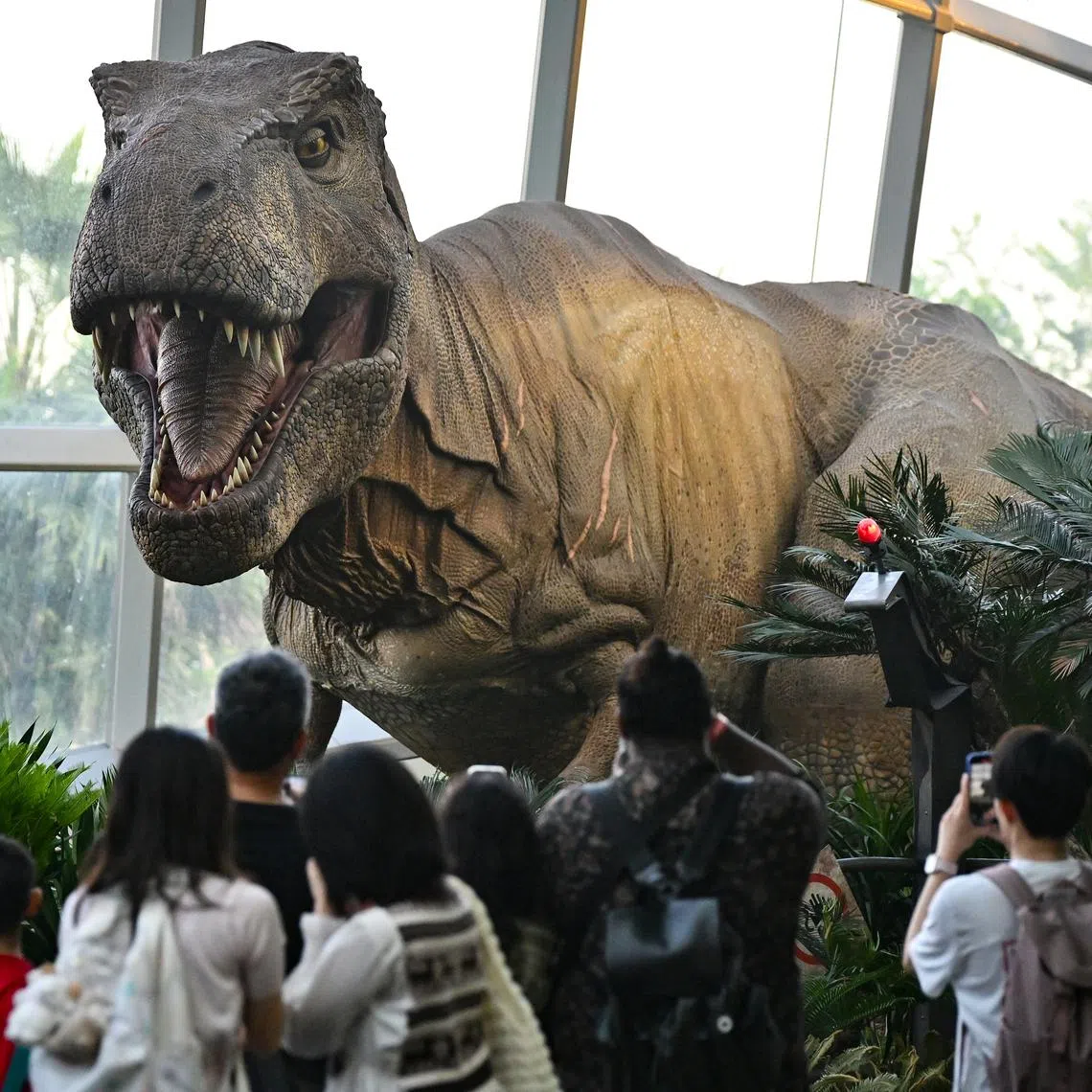 Tyrannosaurus prowled western North America during the Cretaceous Period over 66 million years ago. 