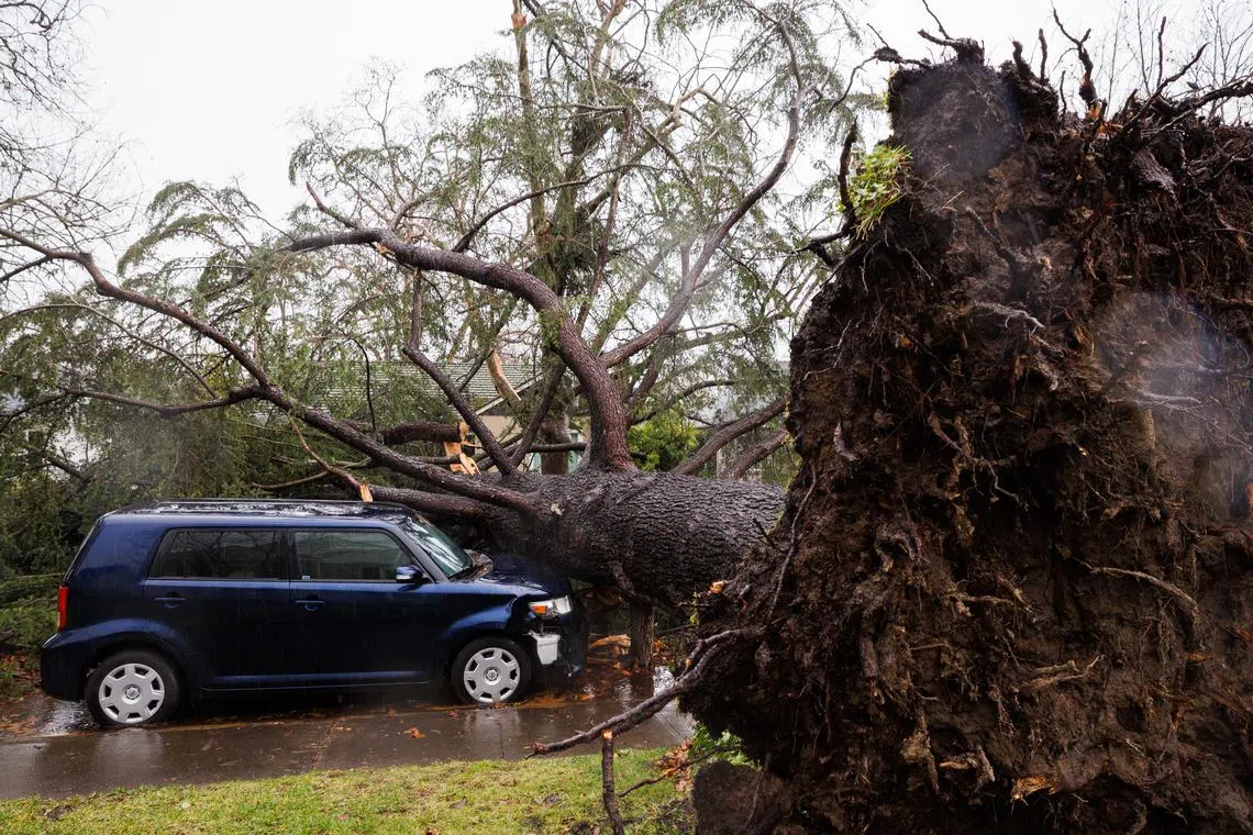 A downed tree on a residential street in Sacramento, California, Jan. 5, 2023. Gov. Gavin Newsom declared a state of emergency throughout California as an epic storm, the latest in a series of atmospheric rivers, slammed the state’s coast, claiming at least two lives. 