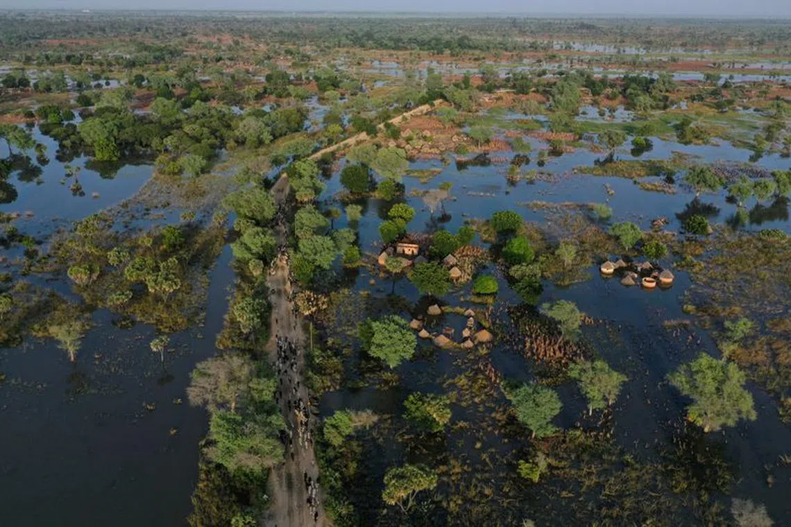 FILE PHOTO: An aerial view shows the submerged cotton field after heavy rain in Dana, Cameroon October 25, 2022. REUTERS/Desire Danga Essigue/File Photo