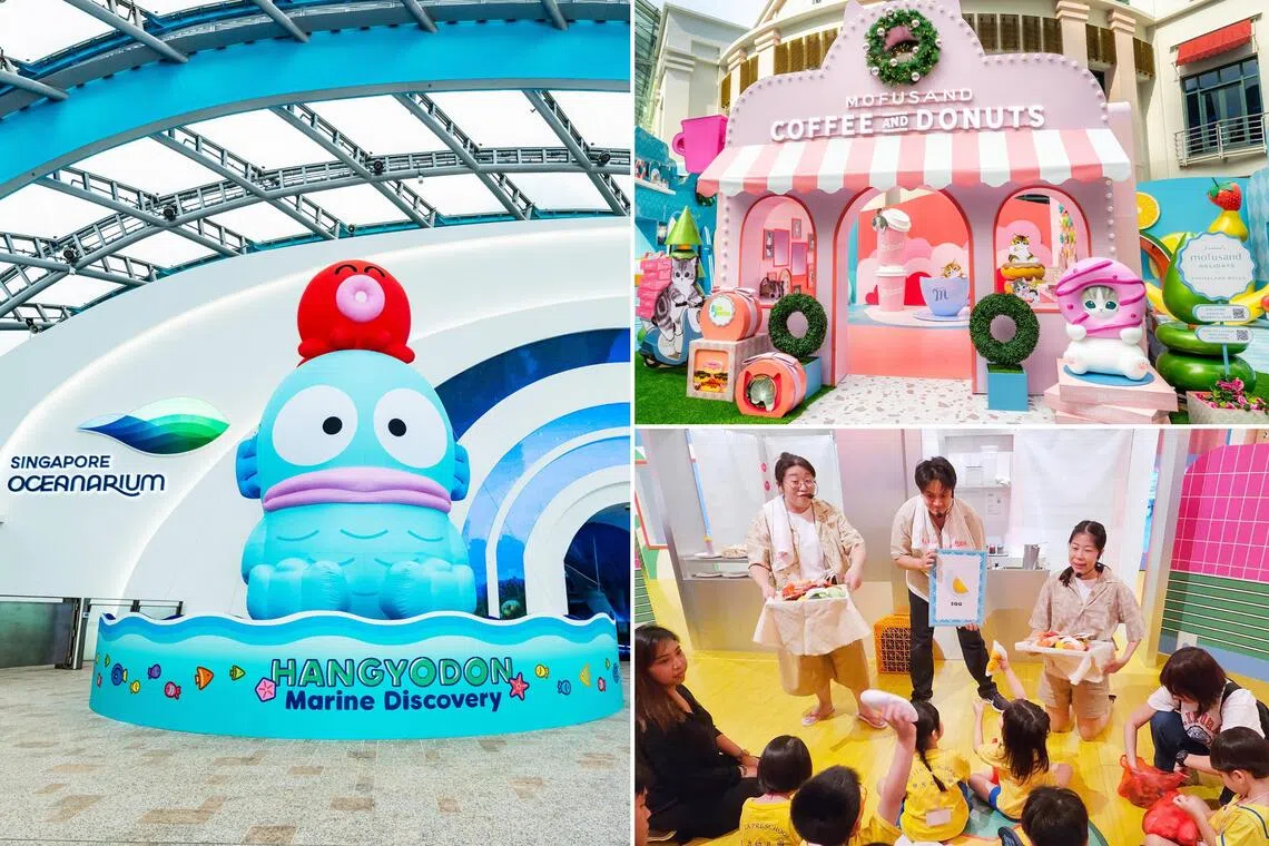 Take your kids to meet Mofusand cats and Sanrio’s Hangyodon, and join Enabling Lives Festival's programmes.