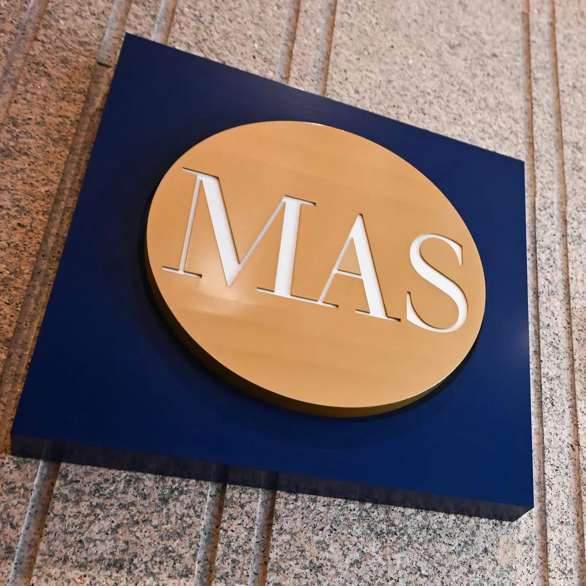 Investment gains were strong as the global economy remained resilient to repeated shocks, said MAS managing director Chia Der Jiun.