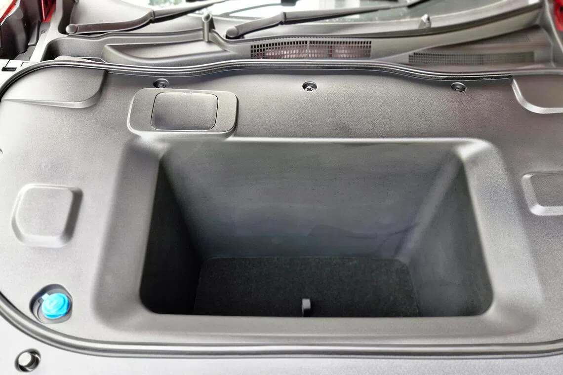 Deep frunk: A 72-litre front stowage is big enough for several packs of dehusked durian.