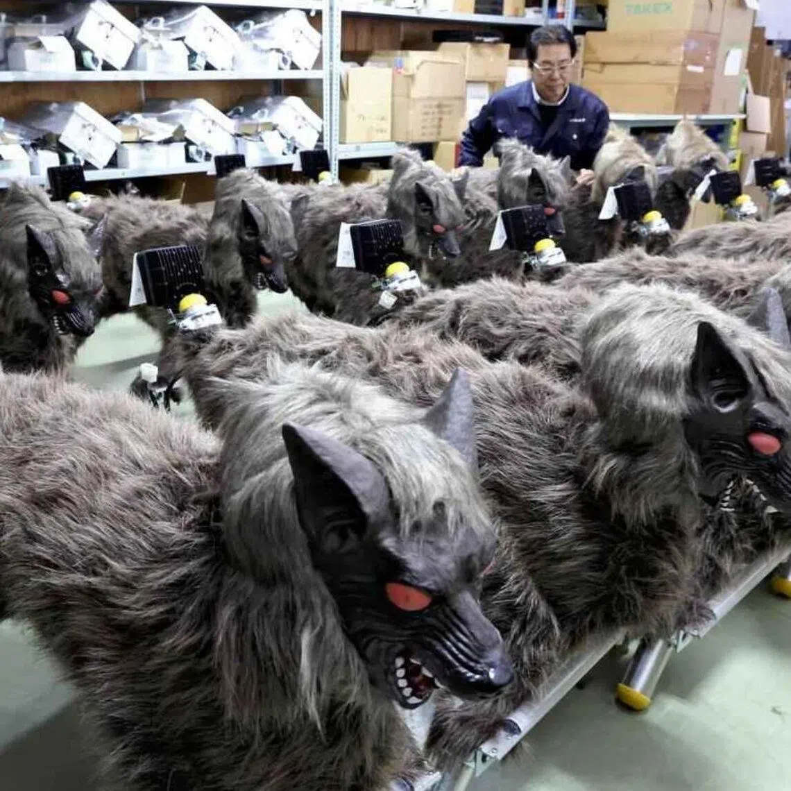 The wolf-shaped robot is used to repel wild animals that can damage agricultural areas, such as boars, deer and bears.